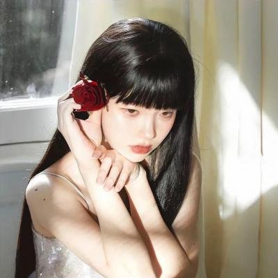 女仆日记2015